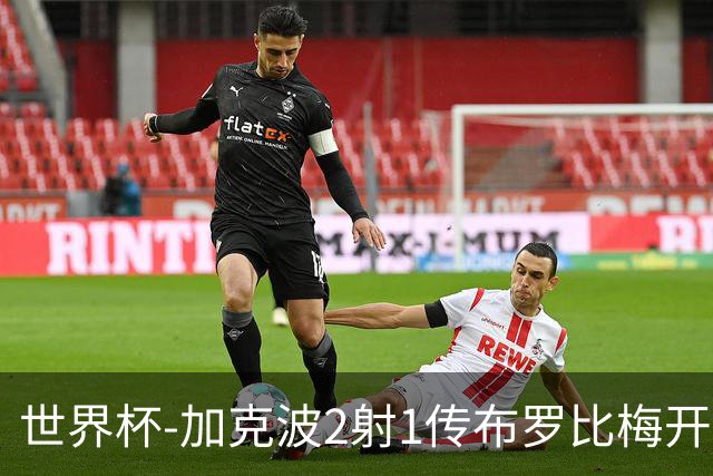 世界杯-加克波2射1传布罗比梅开二度 荷兰5-1大胜瑞典
