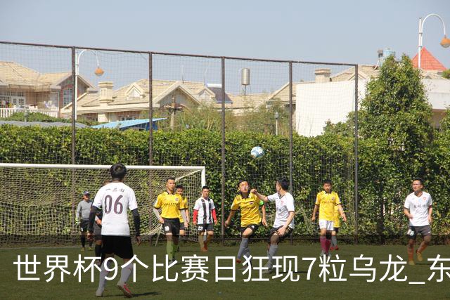 世界杯9个比赛日狂现7粒乌龙 东道主美国成最大受益者