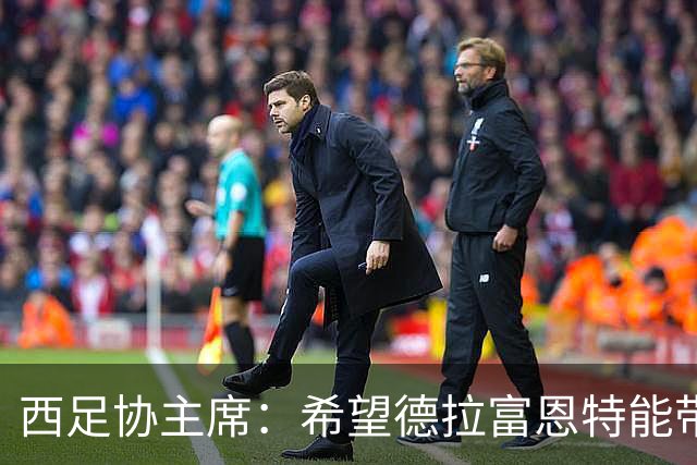 西足协主席：希望德拉富恩特能带队参加2030世界杯